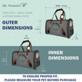 Bild in Galerie-Betrachter laden, Mr. Peanut's Gold Series V2.0 Pet Carrier, air travel approved, grey fabric with brown accents.