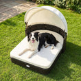 Load image into Gallery viewer, Rattan Pet Daybed with Adjustable Canopy, cream cushion, DirectDeals; outdoors on a lawn with a dog