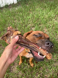 Load image into Gallery viewer, Lamb shank (GFF & Pasture Raised) by Naked Beasts, raw bone with meat