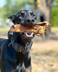 Load image into Gallery viewer, Lamb shank bone held in a black dog's mouth outdoors