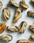 Load image into Gallery viewer, Green Lipped Mussels, Naked Beasts small animal treats; dried orange-brown shells, 12 pieces