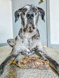 Load image into Gallery viewer, Duck Frames ABF by Naked Beasts: gray dog with a dried duck frames on carpet