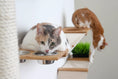 Load image into Gallery viewer, The Bunker - Multi Level Cat Tree with Perch cat condo; natural wood platforms with metal bowls and two cats.