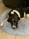 Load image into Gallery viewer, Mr. Peanut's OrthoPlush pet bed, gray plush pillow bed with a dog resting inside