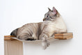 Load image into Gallery viewer, The Double Decker Cat Hanging Bed Set by Catastrophic Creations on a wooden shelf with a lounging cat.