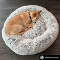 Load image into Gallery viewer, Mr. Peanut's OrthoPlush Pet Bed, 28-inch round pillow bed in snowflake white two-tone with a dog resting.