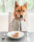 Load image into Gallery viewer, Whole quails (bone-in) on a plate with brown roasted meat at a dining table