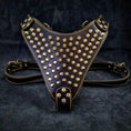 Bild in Galerie-Betrachter laden, Bestia Gladiator 4mm Italian Leather Harness Gold Silver Large by Bestia Dog Gear