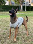 Load image into Gallery viewer, Active Cooling Dog Shirt | Evaporative & UPF 50