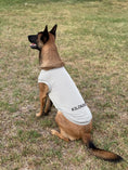 Load image into Gallery viewer, Active Cooling Dog Shirt | Evaporative & UPF 50