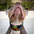 Load image into Gallery viewer, The Grinchmas Limited Collar - Pet Collars & Harnesses from Bestia Dog Gear