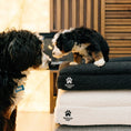 Charger l'image dans la visionneuse de la galerie, Luxury Orthopedic Dog Bed by Wasatch Pup