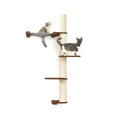 Bild in Galerie-Betrachter laden, The Crow's Nest wall cat condo with hammock; beige rope-wrapped post and wooden platforms, two cats.