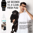Load image into Gallery viewer, No H20 Spray Pet Shampoo