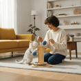 Bild in Galerie-Betrachter laden, FelineFlow Premium Interactive Ferris Wheel Cat Scratcher For Kitten And Adult Cats by Midfox