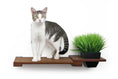 Load image into Gallery viewer, Cat Plant Stand for Wall; brown wooden shelf with 2 items: a green grass planter and a cat.