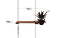 Load image into Gallery viewer, Cat Plant Stand for Wall, wooden brown cat shelf with a black planter on the right