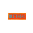 Bild in Galerie-Betrachter laden, REFLECTIVE HIGH VISIBILITY NEON Tag Patch by kiloninerpets