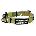 Cargar la imagen en la vista de la galería, Shenannigans Coordinator Morale Patch 3x1.5 Embroidered Hook Back by kiloninerpets