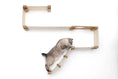 Bild in Galerie-Betrachter laden, The Play wall-mounted cat condo by Catastrophic Creations; light wood cat tree with curved ramp.