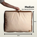 Load image into Gallery viewer, Rawry Orthopedic Pet Bed Machine Washable Zippered Memory Foam Cover by The Family Pet