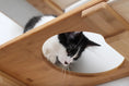Bild in Galerie-Betrachter laden, The Roman wall-mounted cat condo by Catastrophic Creations in natural bamboo, kitten peeking through circular opening