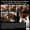 Load image into Gallery viewer, Shine-On+Sheen Dog De-Tangling Coat Spray