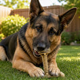 Load image into Gallery viewer, SodaPup Honey Bone Dental Tower XL Indestructible Nylon Dog Chew Toy by SodaPup/True Dogs, LLC