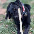 Bild in Galerie-Betrachter laden, SodaPup Durable Nylon Chew Stick For Super Chewers Indestructible Dog Toy Non Toxic Made In Usa by SodaPup/True Dogs, LLC