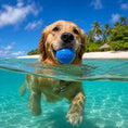 Bild in Galerie-Betrachter laden, Quietschball – Robustes quietschendes Hundespielzeug, schwimmfähig, Kauspielzeug | Hergestellt in den USA