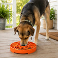 Gallery viewerに画像を読み込む, SodaPup Sun And Moon ETray Shallow Slow Feeder Dog Bowl 8 Inch Diameter USA Made by SodaPup/True Dogs, LLC