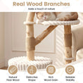 Bild in Galerie-Betrachter laden, Solid Wood Cat Tree 41in with real branches and cozy bed, DirectDeals
