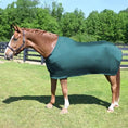 Load image into Gallery viewer, StretchX Full Sheet teal Lycra horse blanket by StateLineTack