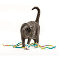 Load image into Gallery viewer, Catch a Mouse by the Tail - Wool Cat Toy, gray cat plays with a multicolored yarn mouse.