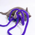 Load image into Gallery viewer, Catch a Mouse by the Tail wool cat toy, purple plush rope with teal accents