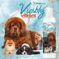 Load image into Gallery viewer, Visibly Vibrant Pet Shampoo