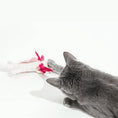 Load image into Gallery viewer, A Little 'Lotl Axolotl Wool Cat Toy by Cat in the Box LLC; grey cat reaching for pink and white plush