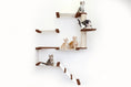 Bild in Galerie-Betrachter laden, The Deluxe Cat Fort - Modern Cat Condo by Catastrophic Creations; brown platforms with a beige rope-wrapped post