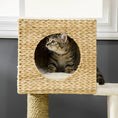 Carica l'immagine nel visualizzatore della galleria, Cattail Weave Cat Tree for Indoor Cats, natural rattan with white cushion