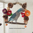 Gallery viewerに画像を読み込む, Premium Natural Wood Parrot Swing Claw Toy Pine Nut Grinding Tool by Sell My Stuff