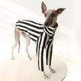 Cargar la imagen en la vista de la galería, Whippet & Greyhound striped shirt costume for pets by SOCKPET; black and white outfit