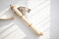 Bild in Galerie-Betrachter laden, Slanted Cat Scratcher for Wall by Catastrophic Creations, beige sisal rope ramp with wood ends