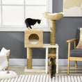 Carica l'immagine nel visualizzatore della galleria, Cattail Weave Cat Tree for Indoor Cats with natural beige rattan perch and rope posts