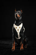 Load image into Gallery viewer, Bestia Maximus White Dog Harness Italian Belt Leather Lamb Padding Secure Large by Bestia Dog Gear