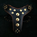 Bild in Galerie-Betrachter laden, 'Bijou'' harness Black & Orange for big dogs - Pet Collars & Harnesses from Bestia Dog Gear