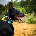 Carica l'immagine nel visualizzatore della galleria, The BCW Limited Collar - Pet Collars & Harnesses from Bestia Dog Gear
