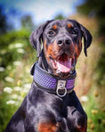 Load image into Gallery viewer, Bestia Hexagon black and purple leather dog collar, view 3