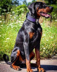 Load image into Gallery viewer, Bestia Hexagon black and purple leather dog collar, view 4