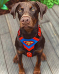 Bild in Galerie-Betrachter laden, Superdog Harness - Harnesses from Bestia Dog Gear