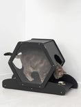Bild in Galerie-Betrachter laden, Small Cat House by Enjoy The Wood B2B, black wooden cat condo with hexagonal window and cat inside